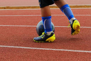 mk sports 体育-中超球队训练视频引网友点赞,中超球队训练基地