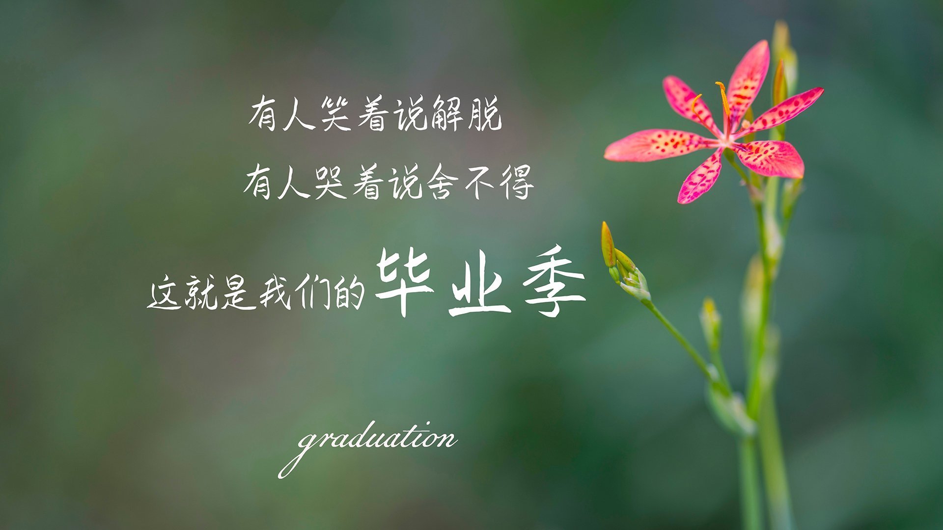 世俱杯冠军专栏：那些荣耀瞬间的背后，世俱杯冠军奖牌