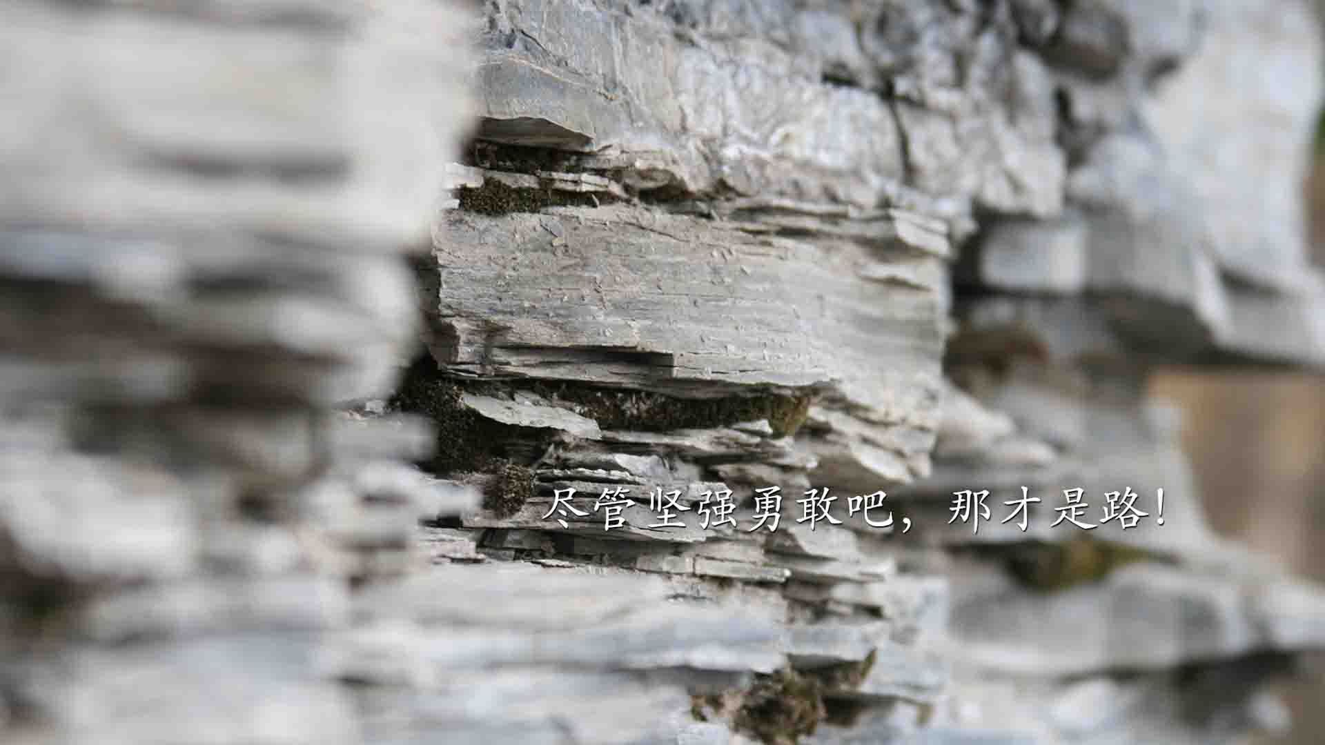 国足球员体能衰减与战术执行力下降关系，足球运动员体能差